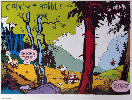 Calvin: There's never enough time to do all the nothing you want. 