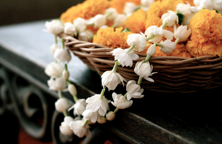 string-of-jasmine-768x499