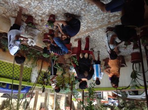 Kids at Birthday Party plant flowers.