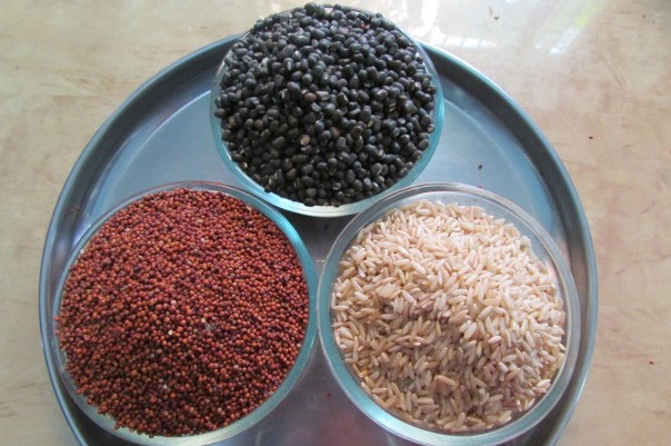 Rice, ragi and urad ready for soaking and grinding into idli / dosa batter. 