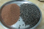 Teff and Urad3